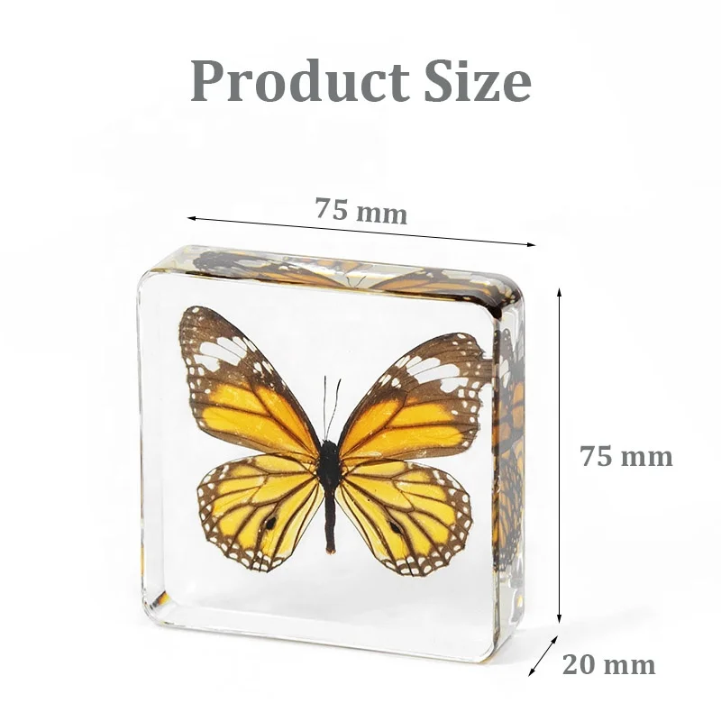 taxidermy butterfly resin cube real insects bug 75*75 mm factory customized clear epoxy acrylic blocks resin crafts ornaments