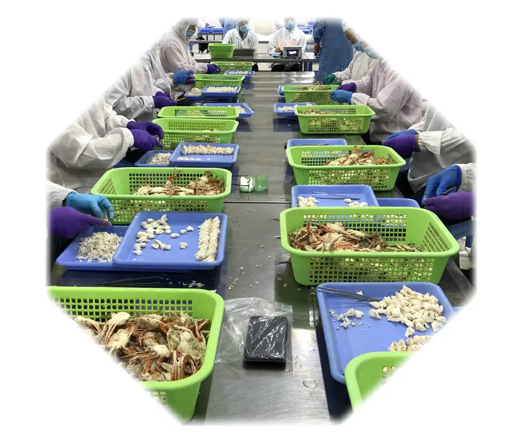 Frozen Canned Crab Meat Crab Lump Crab Lump