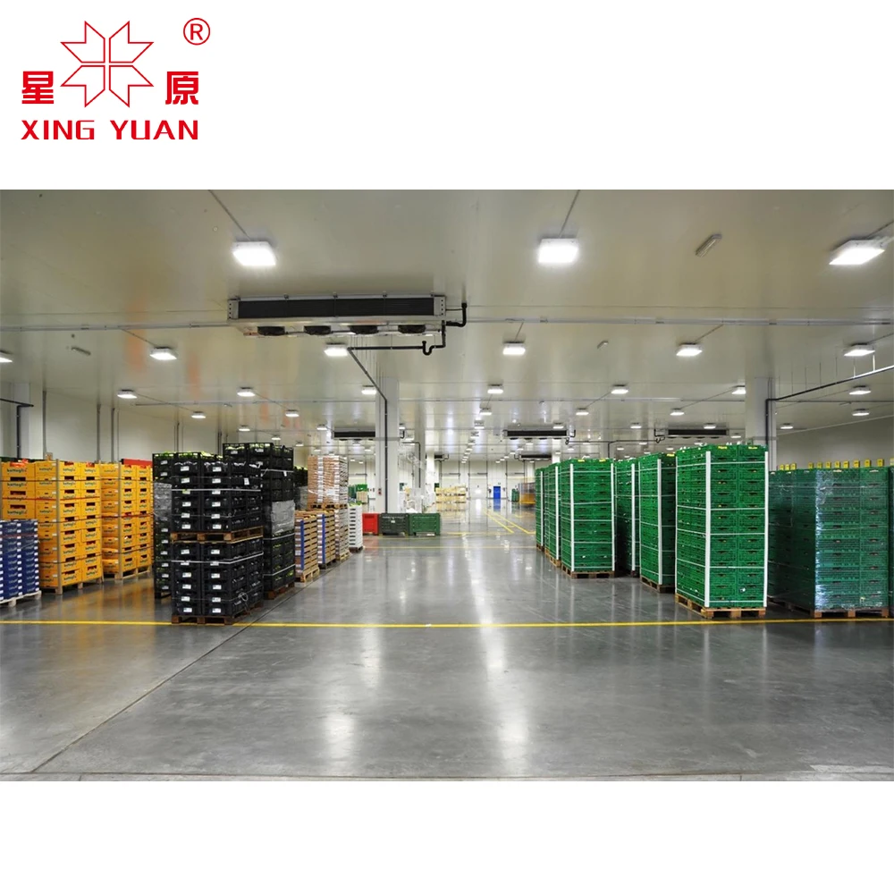 -18/-25c Walk In Cooler Freezer cold room Eps Sandwich Panel For Fish Meat