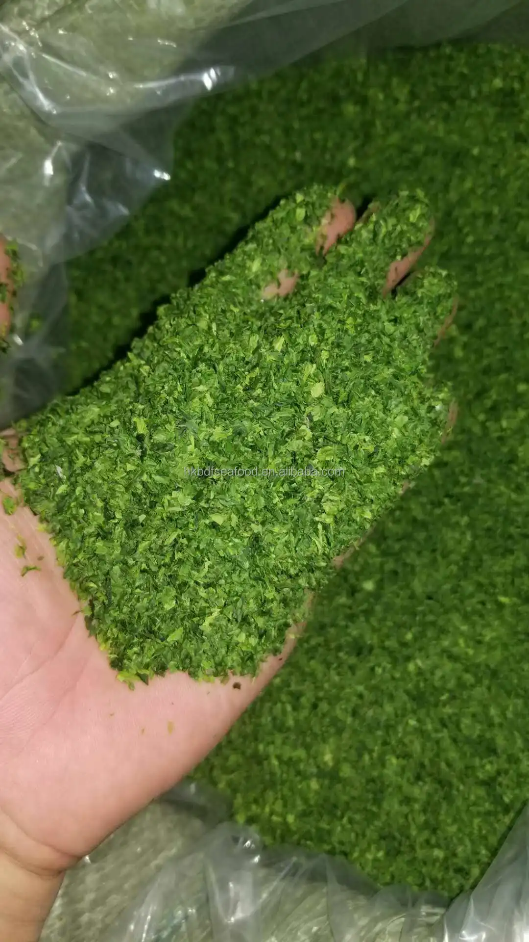 Best quality ulva lactuca Aonori Seaweed