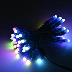 Hot Selling Dc5v 12mm Ws2811 Ip68 Waterproof Addressable Rgb Led Smart Pixel Node Led Module Led Light String