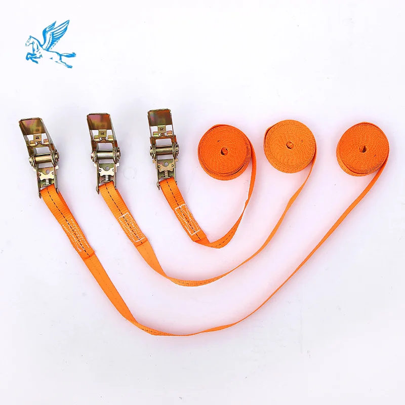 Tianma 5T 10M Cargo Control Ratchet Tie down Straps GS Certified Webbing Strap with Double J Hook End Fittings