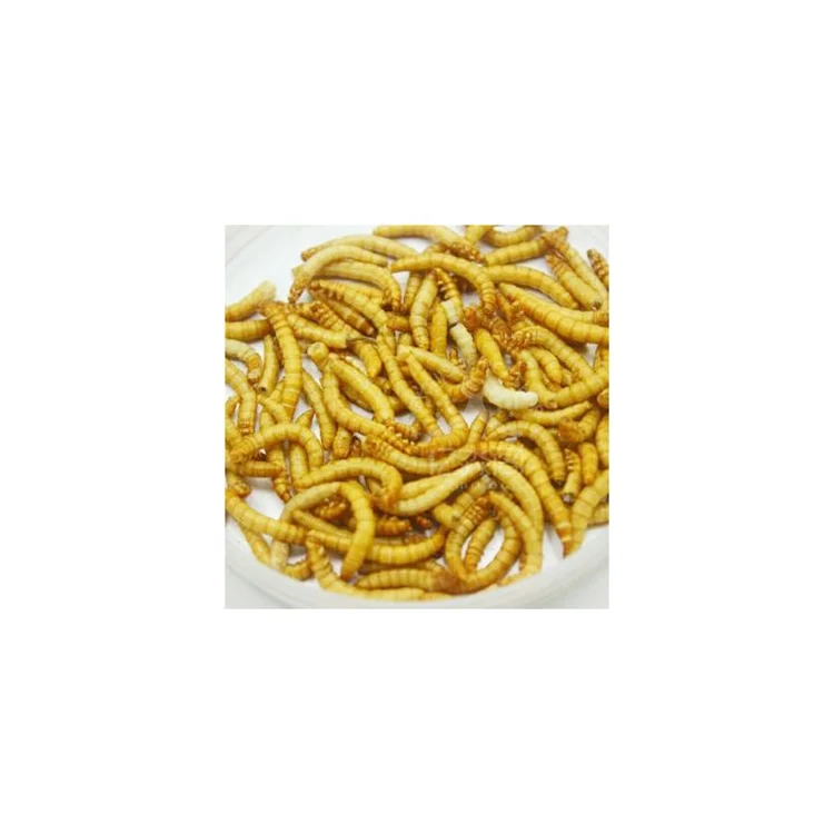 
Xin jie biotechnology High Protein Dried Mealworm in Bulk for Wild Bird 