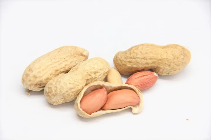 Ground Nut red skin Peanut,Raw Shelled Peanut,Fresh Peanuts