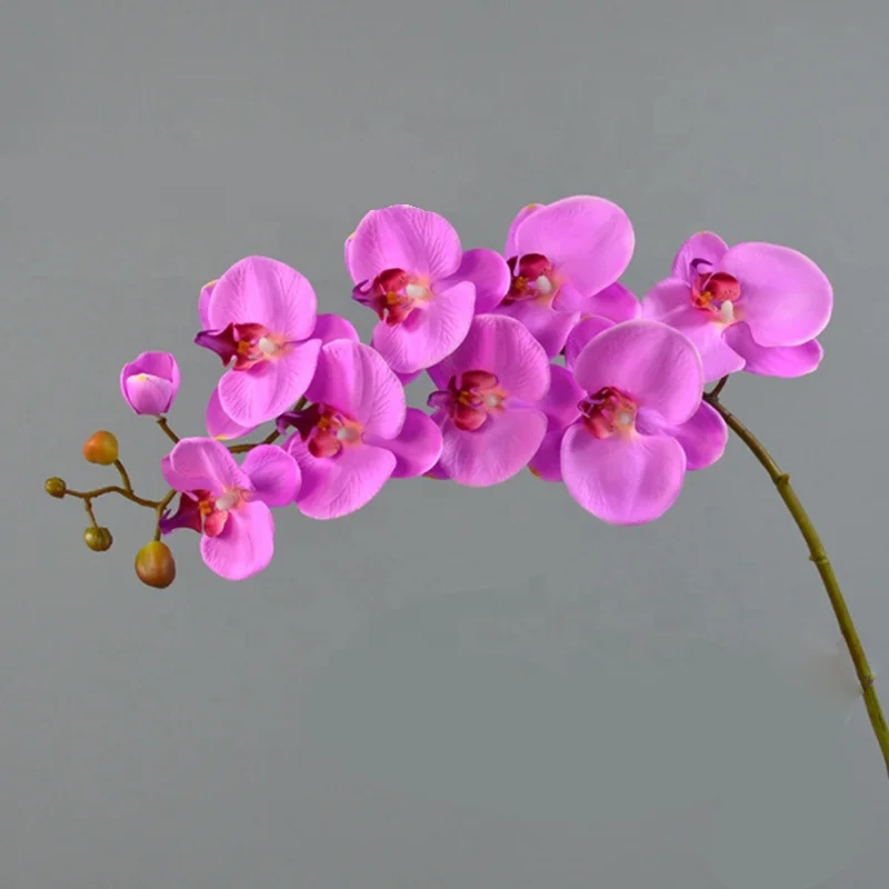 Real touch Environmentally Friendly Plastic phalaenopsis orchids live plant