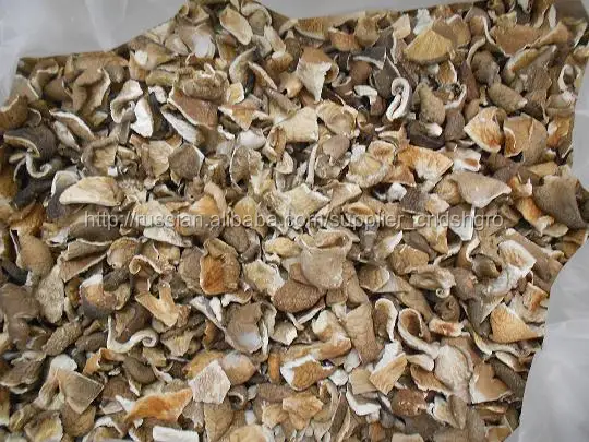 Китайские грибы вешенки 2*4см