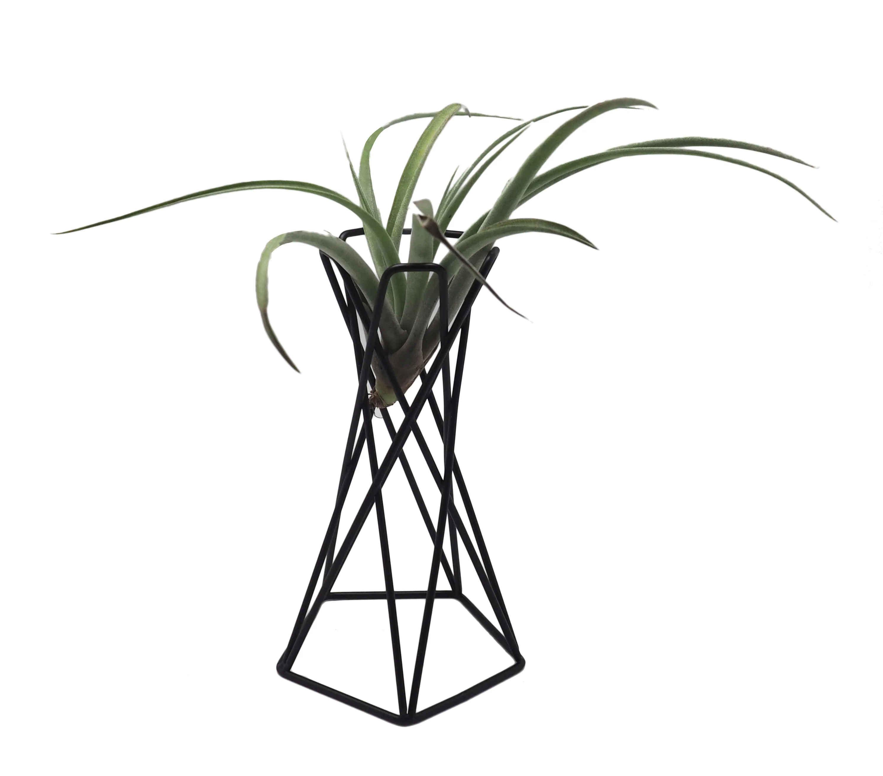 Hongxin new product  test tube flower vase gold or black for home decoration