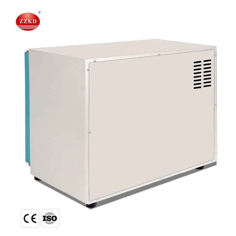 DZF-6020 Laboratory Mini Thermostat Vacuum Drying Oven