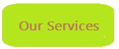 Our Services.png