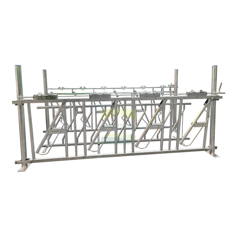 Оборудование для коровьей фермы, высококачественный прочный головной замок для крупного рогатого скота, легко Очищаемый головной замок для другого оборудования для животноводства