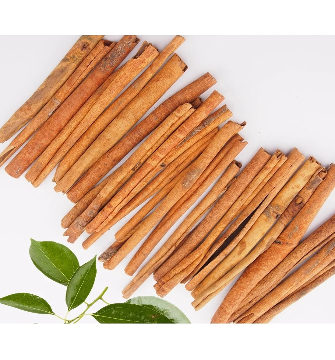 New crop Cinamon stick made in Viet Nam 100% High Quality Organic New Season Spices Herbs Viet Nam Spices Herbs