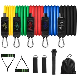 High Quality Gym  Exercise Workout Fitness Kits 11Pcs Latex Resistance Band Bands Set