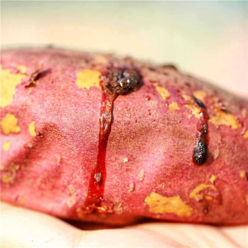 Foods that are good for the body Yunxi sweet potatoes large quantities sell low-priced sweet potatoes
