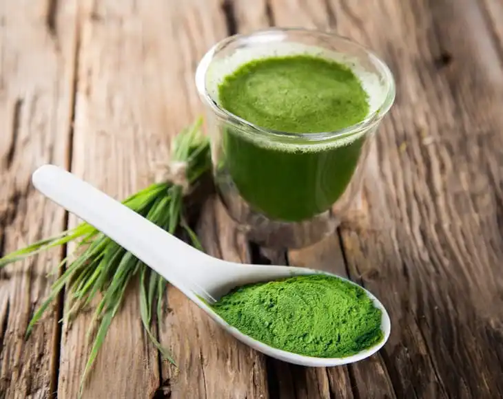 Wholesale Bulk Wheatgrass Powder Organic Barley Grass Supergreen Blend natural