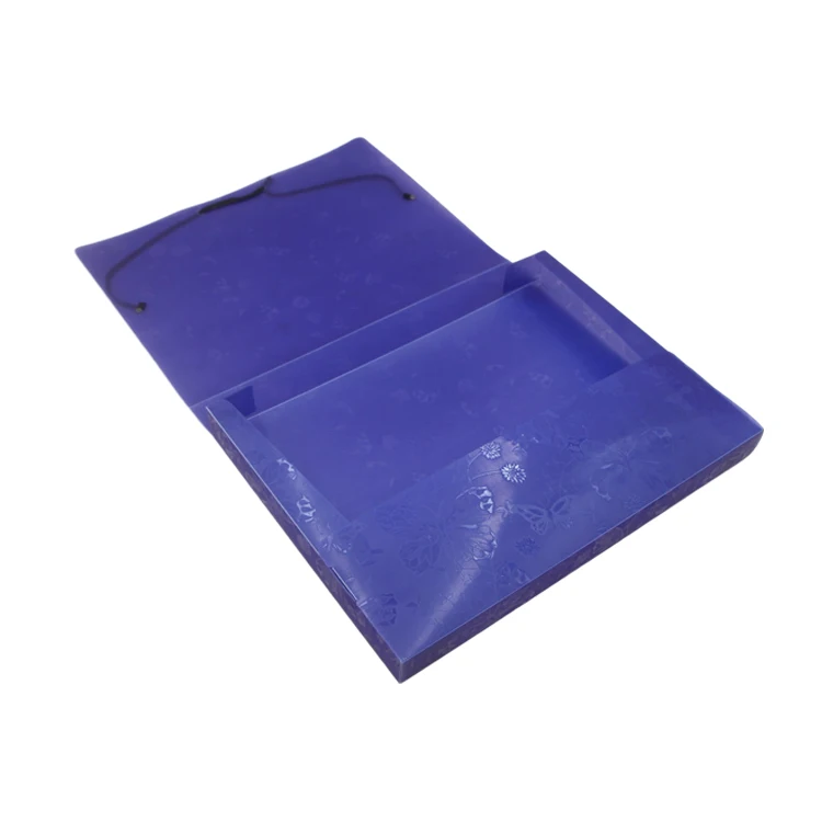 custom made Plastic Box File Document Case For Document With Elastic Closure