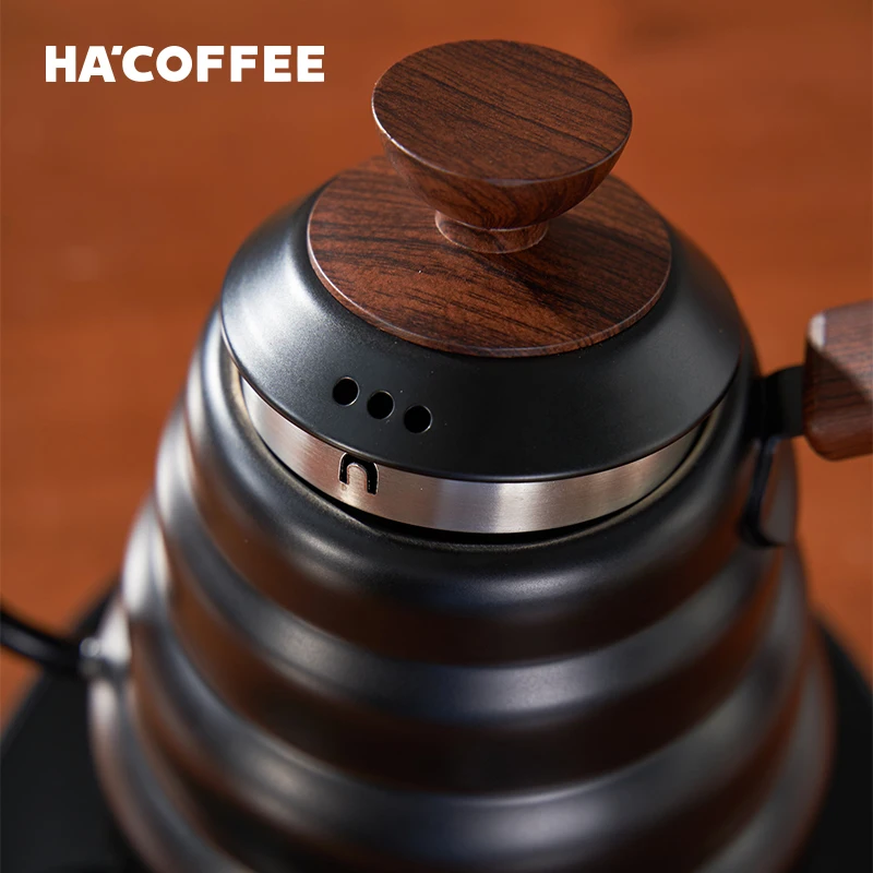 Large Capacity Heating Variable Temperature Control Gooseneck Stainless Steel Electric Coffee Kettle