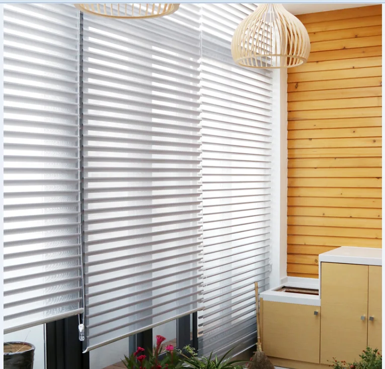 Elegant light  manual & motorized shades/Triple blinds Essential Room blackout roller blinds Darkening Dual Shade zebra blinds