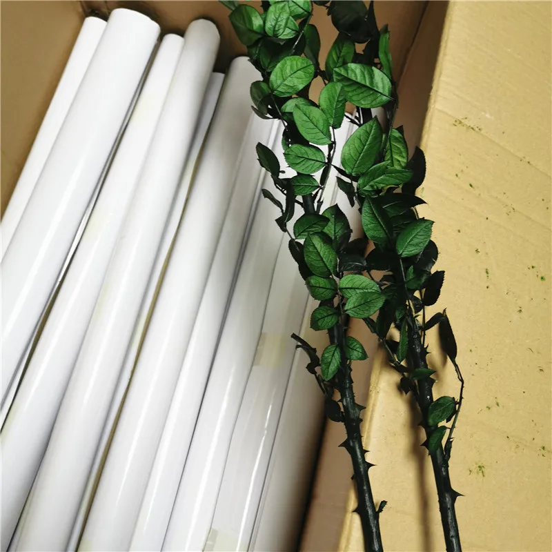 Best quality preserved rose stem 70cm long lasting rose stem real rose stem wholesale