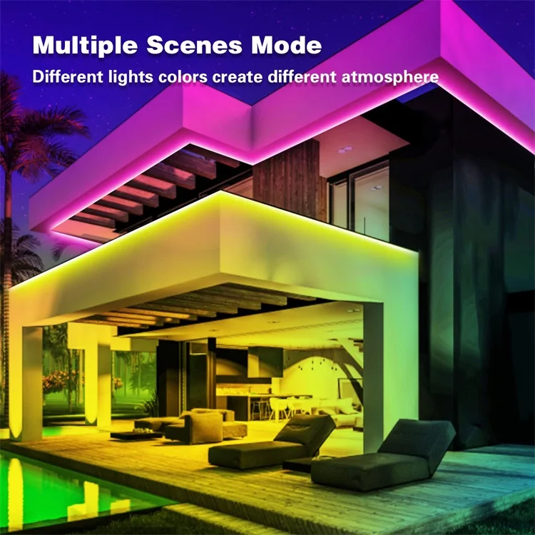 Addressable smart 5V 12V WS2811 WS2812 WS2812B WS2815B LED strip lights dream fullcolor running changing color led strip