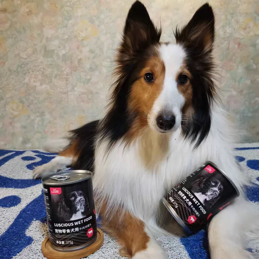 Factory Custom High Quality 375g Large Cans Of Beef And Chicken Flavor 6 Cans Dog Snack Wet Food Meat Block