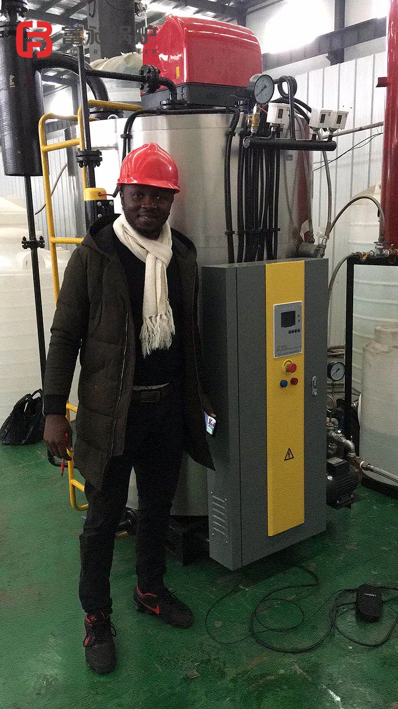 CE Certified 300KG/H Vertical Gas Fired Steam Generator