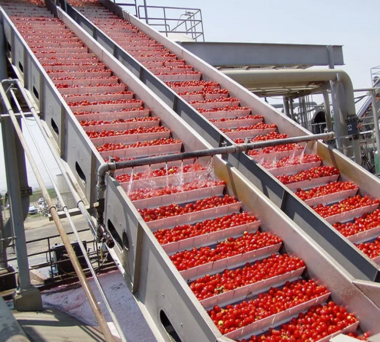 tomato puree pulp juice sauce ketchup making machine plant line