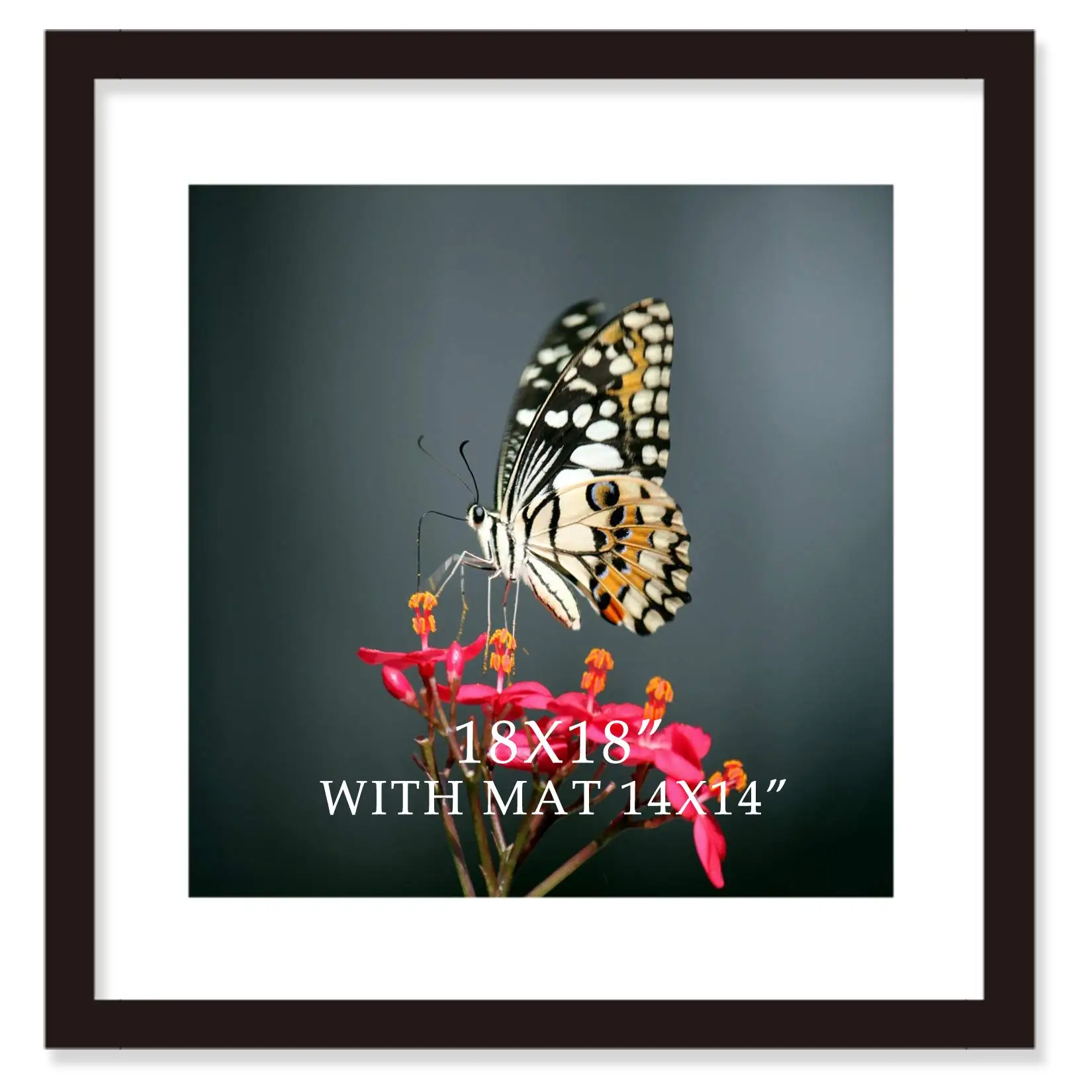 Customized SizeA1,A2,A3,A4,A5,4x6,5x7,6x8,8x10,11x14,12x16,12x18,16x20,18x24,24x36 Black White Poster Picture Wood Photo Frame