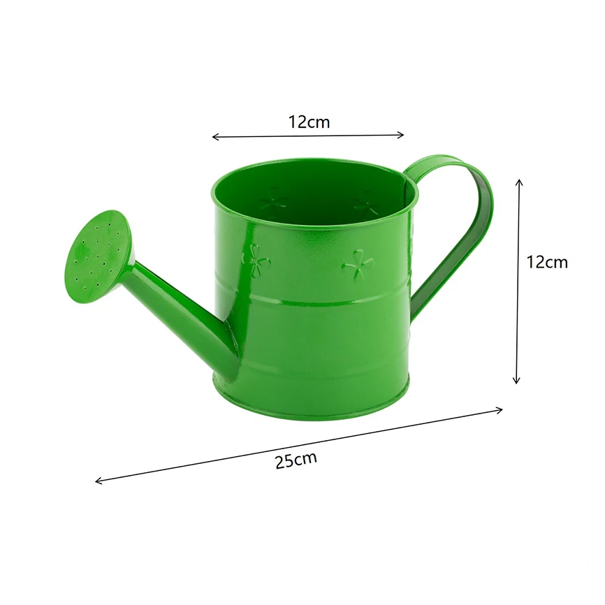 Custom Garden Indoor Stainless Steel Plant Metal Watering Can