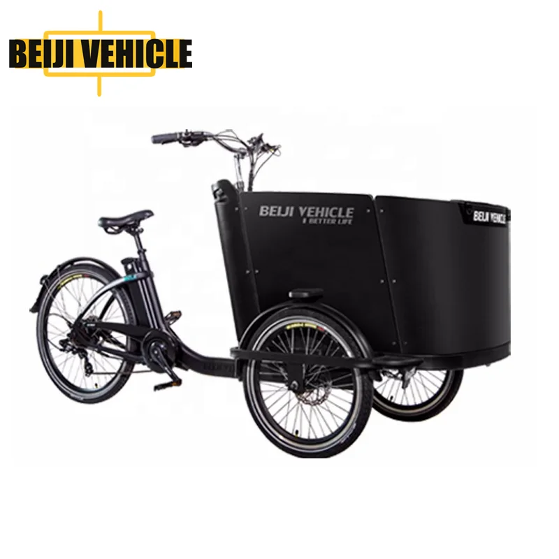 cheap electric tricycle cargo bike with 3 wheel bike for family