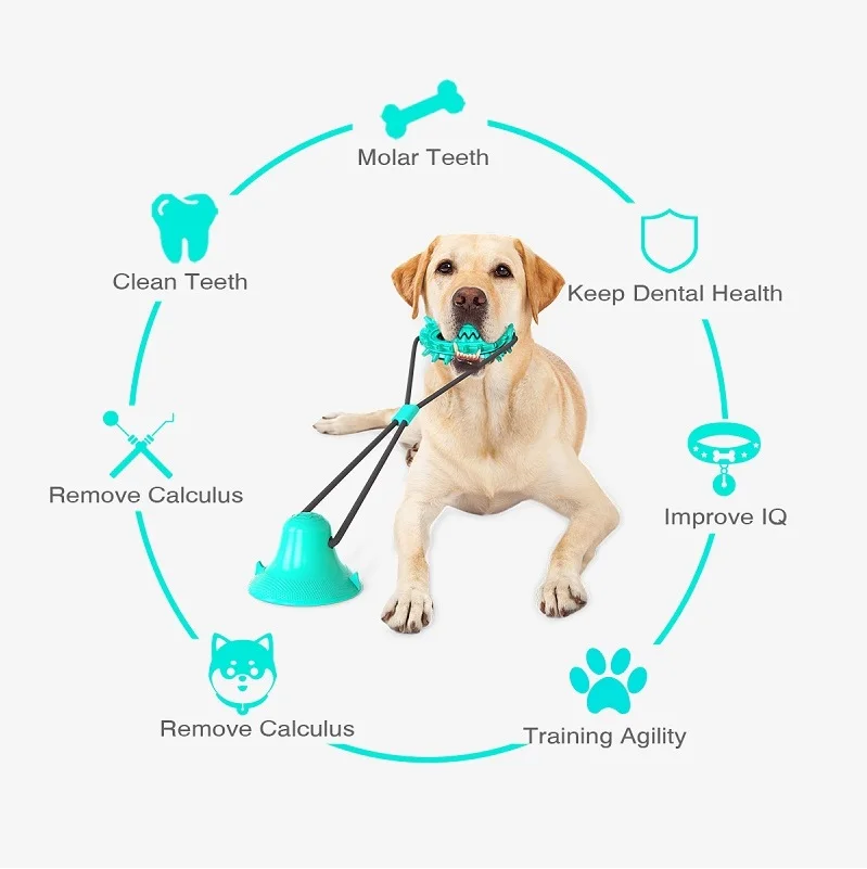 
High Quality Rubber Pet Jagged Balls Teeth Grinding Single Suction Cup Chew Dog Toys 