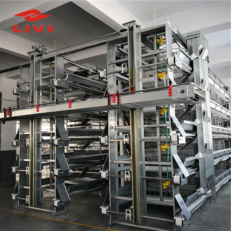 chicken equipment for sale in south Africa 30,000 layers project design layer chicken cage