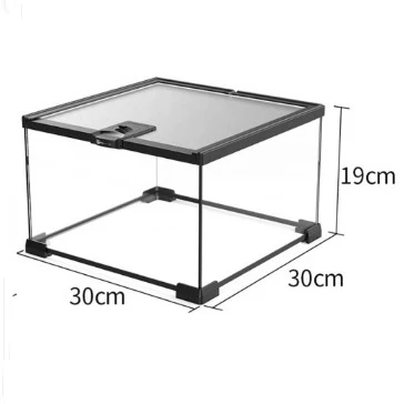 
OEM/ODM best products 30*30*19cm reptile glass terrarium cage for rain forest climbing frog gecko snake pet cage 