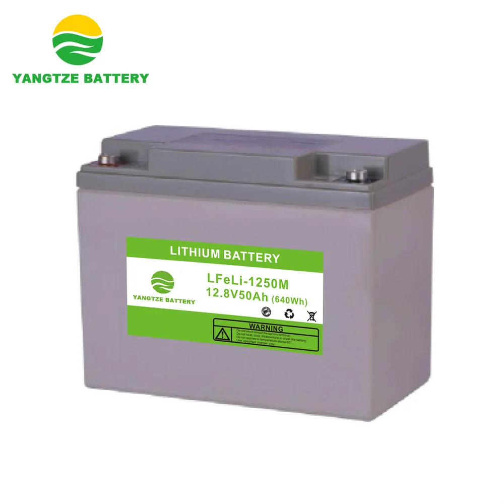 The top quality 12v 24v 48ah 50ah lithium battery for ebike