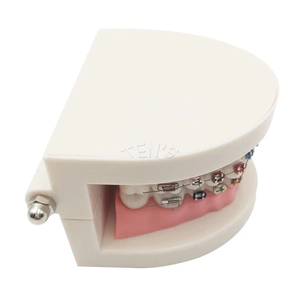 New Arrival Dental Equipments Brackets Products Odontologia Fashion Braces for Teeth