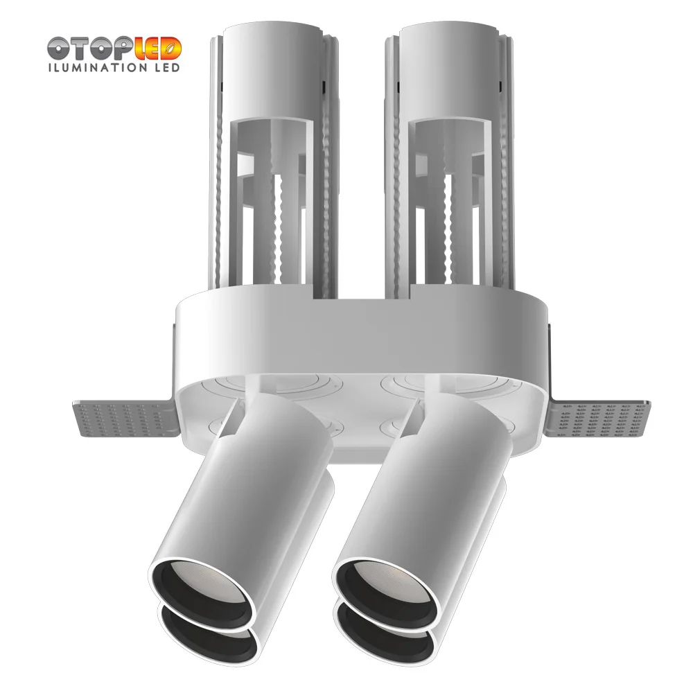 12W Double Rectangular Adjustable Downlight 2019 Hotsale Design for High-grade Place Decoration