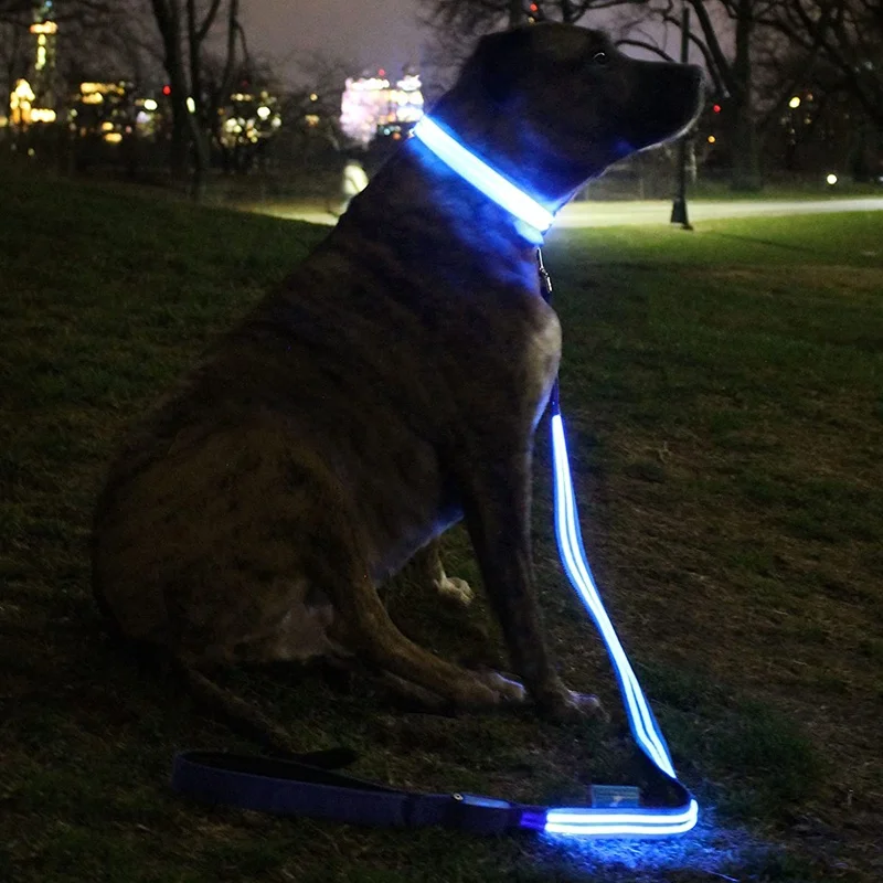 Night Safety Pet Products Led Dog Glow In Dark Adjustable Luminous Collar Light Up Dog Leashes