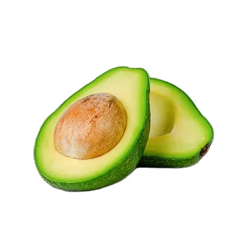 Лидер продаж свежий авокадо высокого качества высокого стандарта для экспорта из Вьетнама