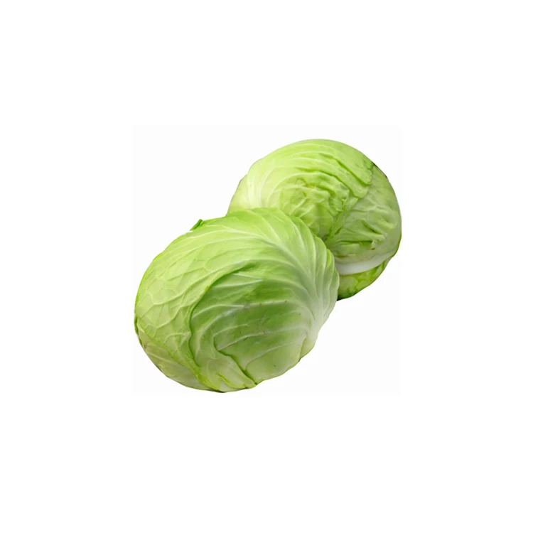 
Cheap price fresh organically grown green cabbage from china 