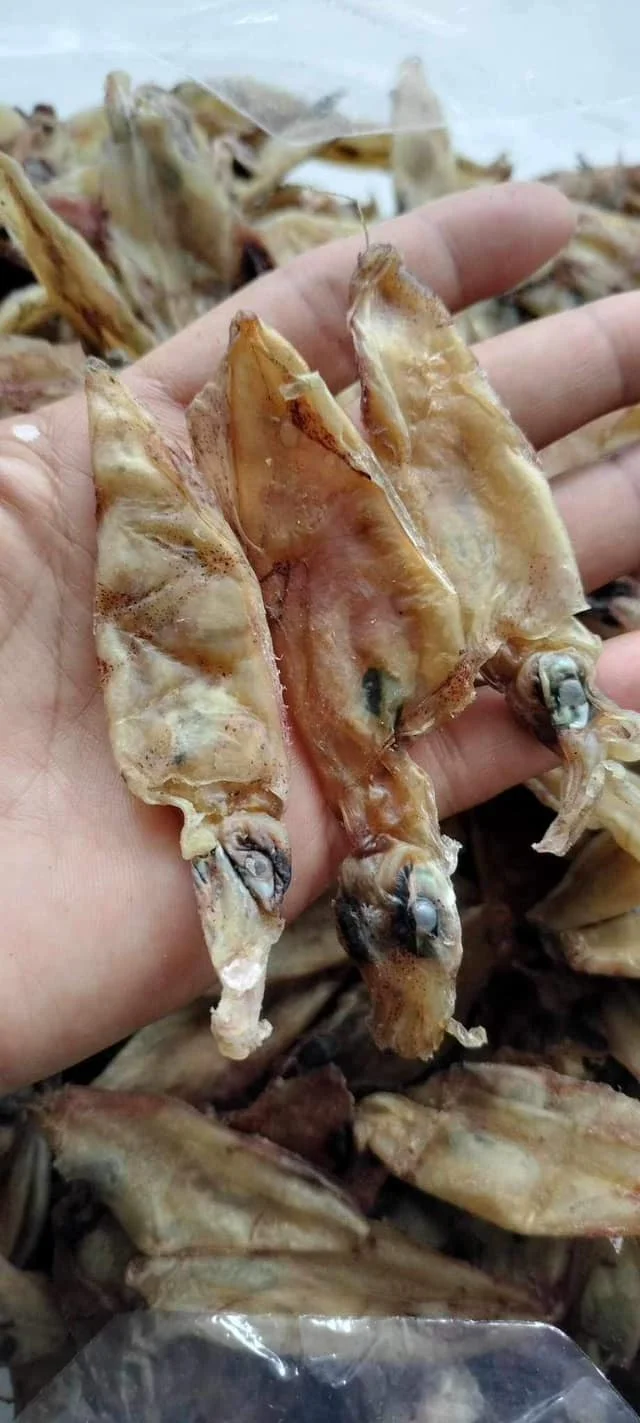 Raw unsalt squid material drying seafood exporting in bulk no additive  Premium Quality Origin In Vietnam//+84 966 274 584
