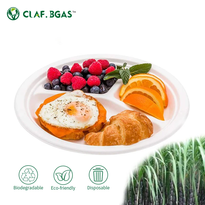 Degradable Customized Disposable Sugarcane Bagasse Biodegradable Rectangle Sugarcane Pulp Meet Plate Tray for Restaurant