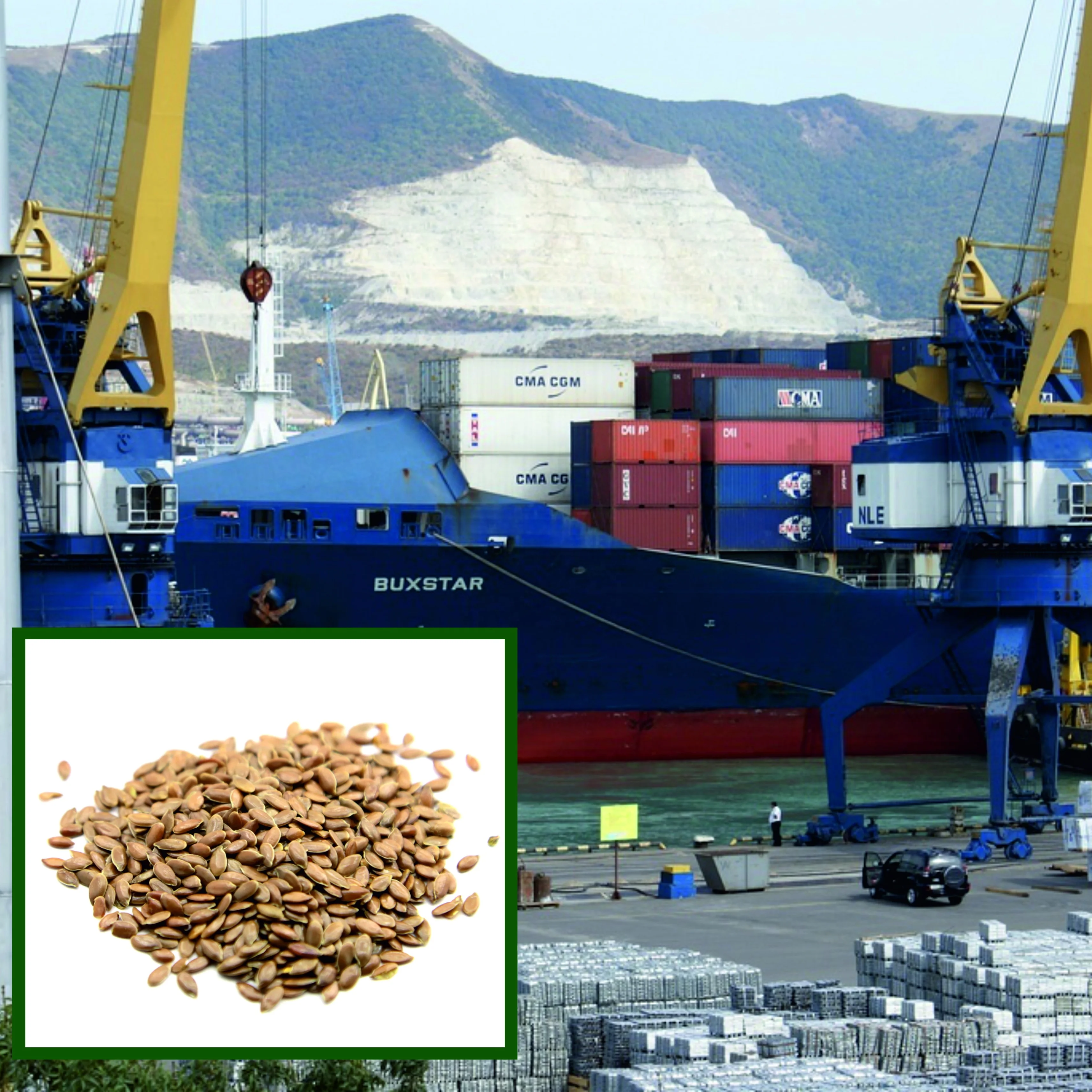 
High quality flax seed linseed in bulk, from manufacturer 