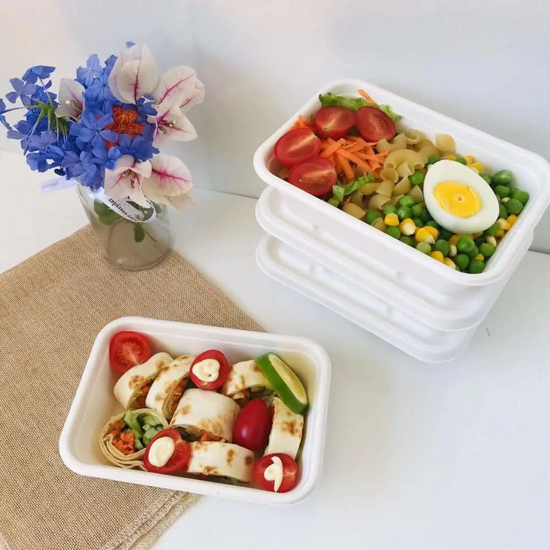 Free Samples Compostable Paper Pulp Lunch Box Disposable Bagasse Pulp Takeaway Food Container With Lid
