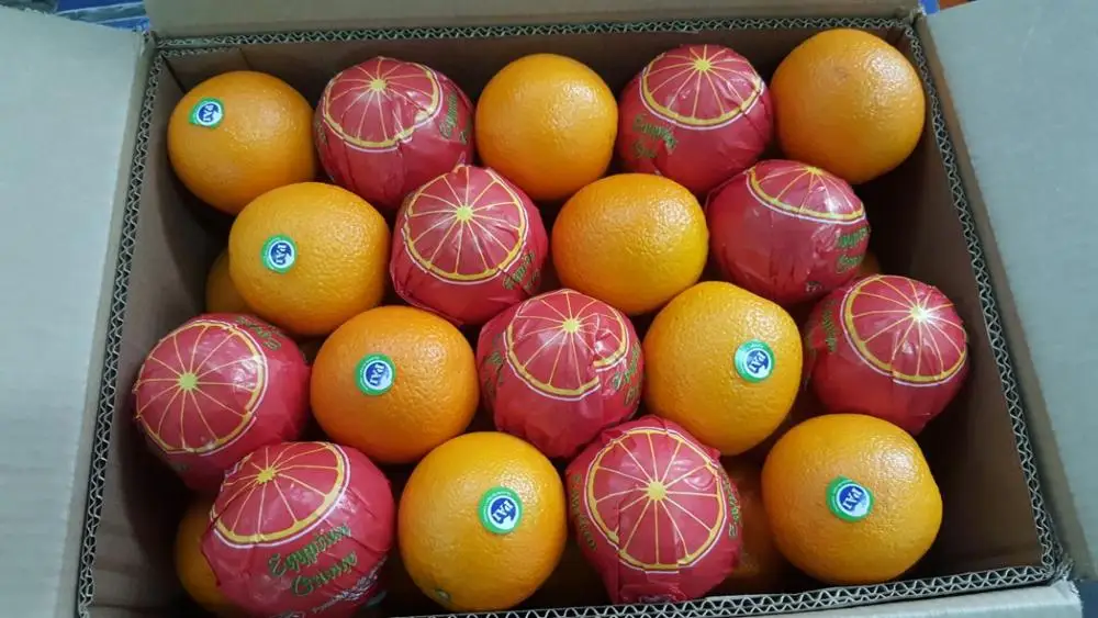 
Exports best price fruits oranges fresh from greece 