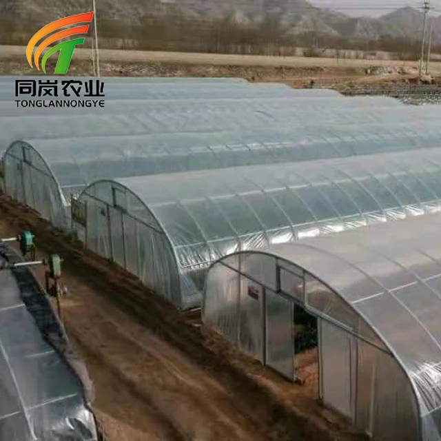 Pvc Plastic Film Covered Hot-dip Galvanized Steel Pipe Tunnel Greenhouse For Vegetables Or Flowers Growing