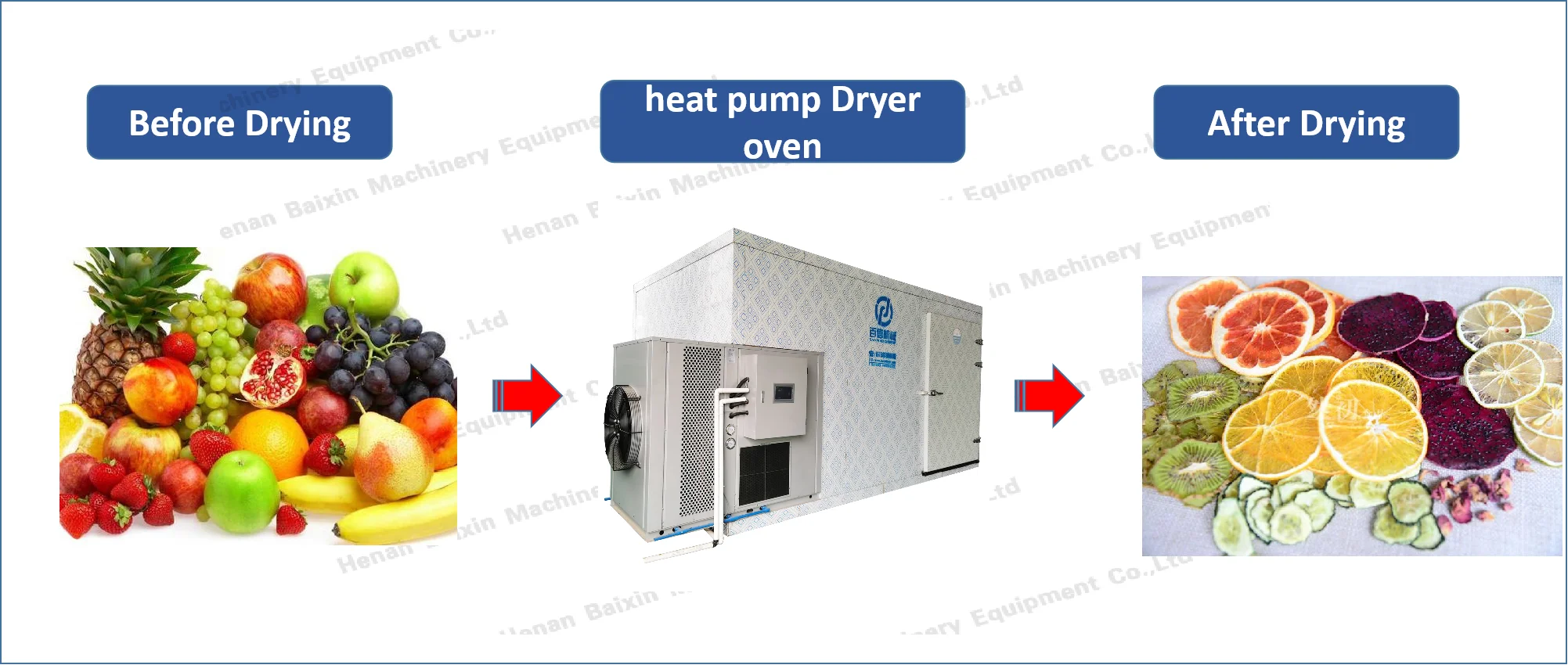 Fruit Vegetable Heat Pump Drying Oven Machine