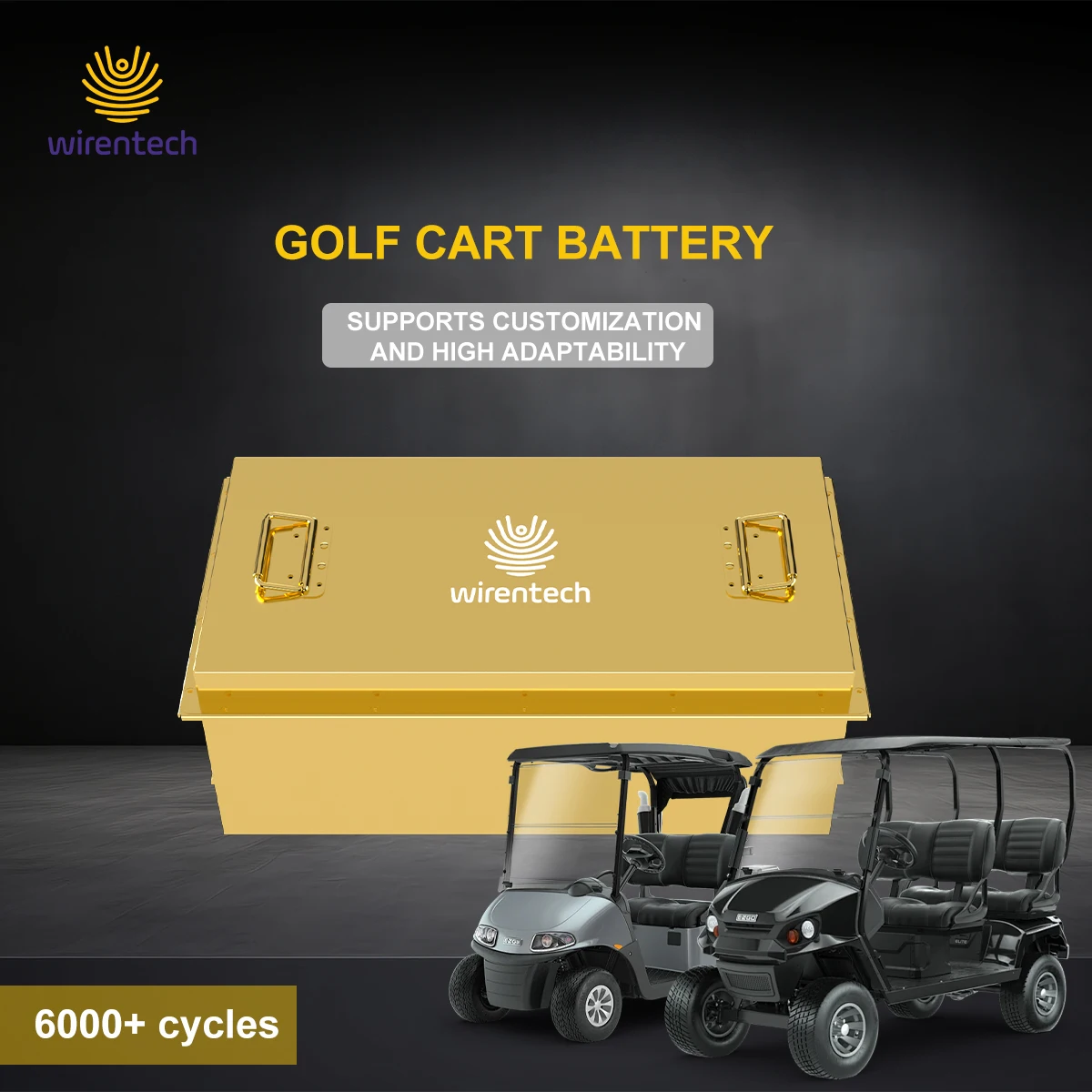 Electric Rechargeable Portable Kit Lithium Battery 48V 100Ah 105Ah 200Ah LiFePO4 51.2V 72Ah 800A CCA Golf Carts Battery with BT