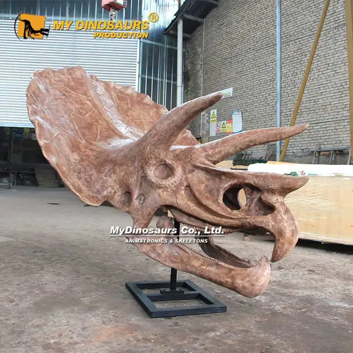 Triceratops-Skull-3.jpg