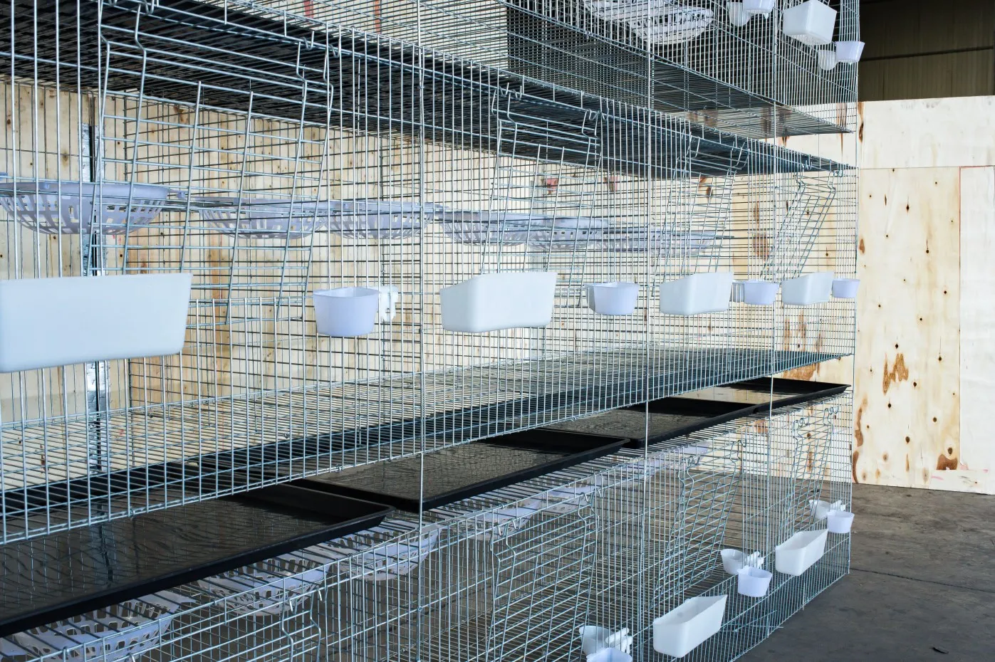 Trade Assurance Pigeon Breeding Boxes for Sale