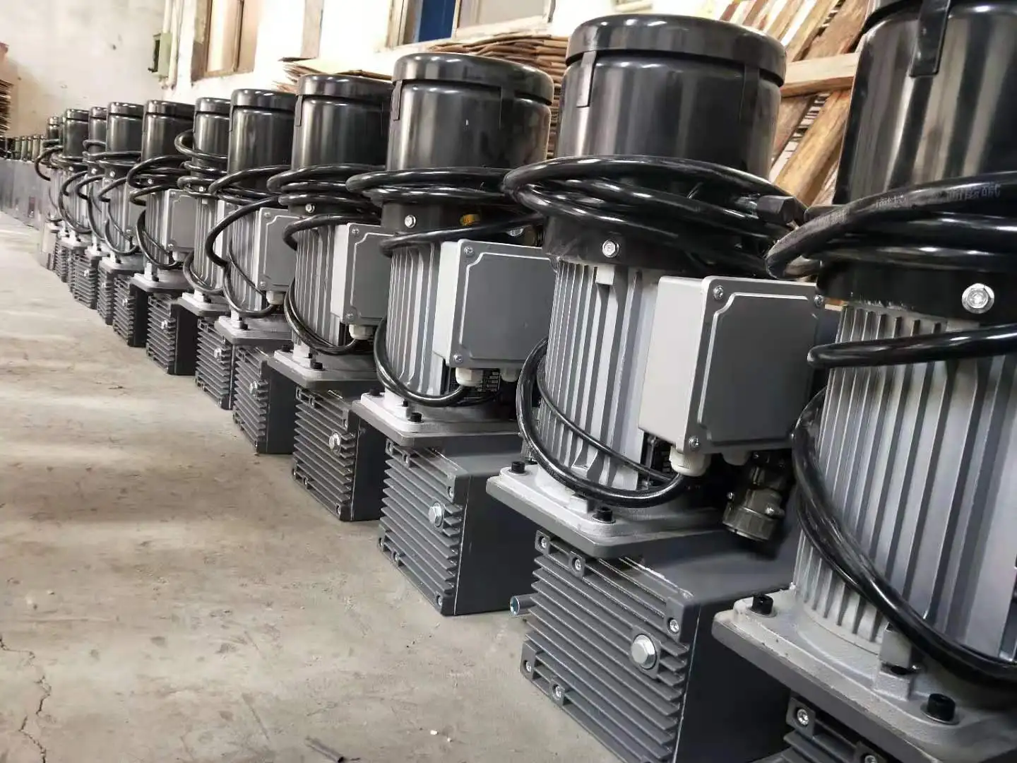 Suspended Electric Hoist LTD 630