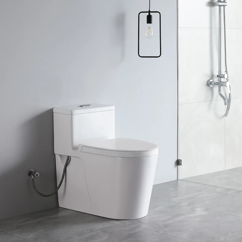 types wc cleaning sanindusa toilet ceramic